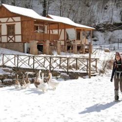 Winter Holidays in Armenia