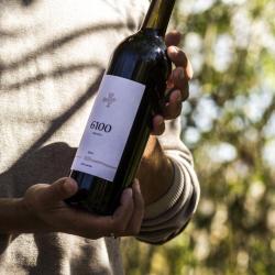 Die Wiege des Weinbaus liegt in Armenien